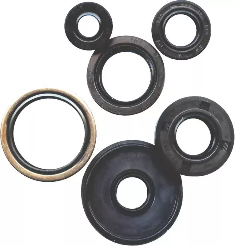 822239 Oil Seal Set