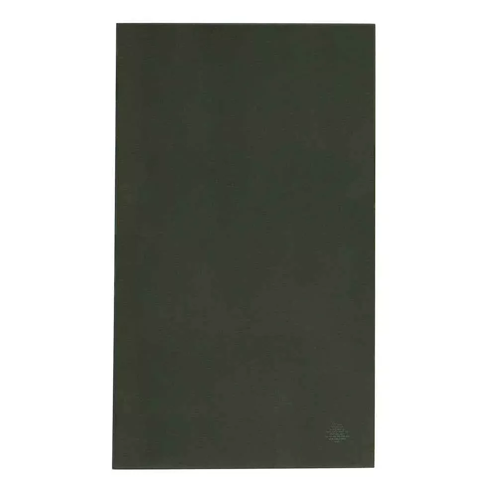 AP Products 015-201496 Entry Door Tinted Glass