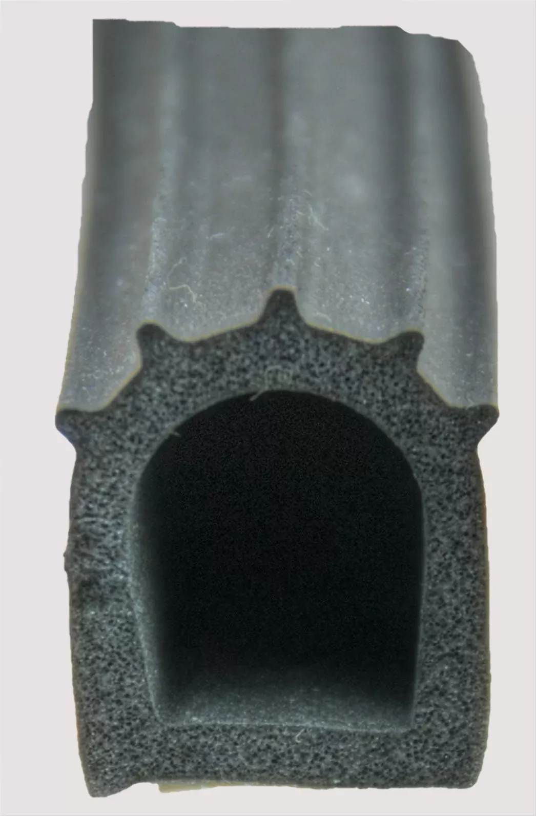 AP Products 018-023-PT Ribbed Foam D Seal Door/Window Seal - 50 ft