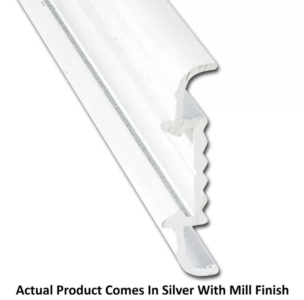 AP Products 021-56403-16 Molding Trim Insert - 16 ft, Silver