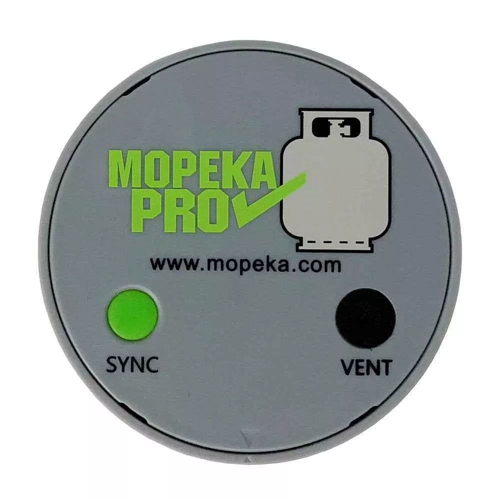 AP Products 024-2002 LP Pro Check Bluetooth Sensor with Magnets