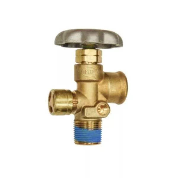 ASME Service Valve 3/4" NGT Inlet