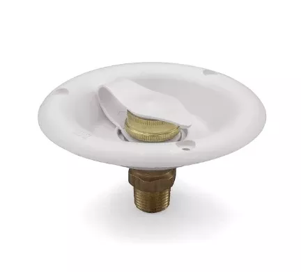 City Water Dish W/Brass Cv