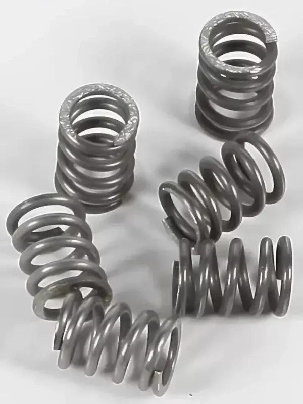 CSK71 Clutch Springs