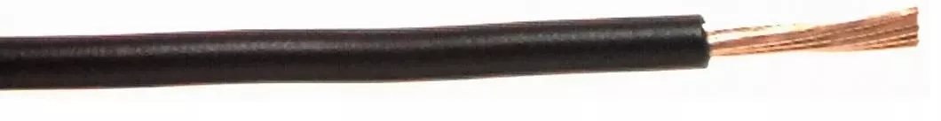 East Penn 10-Gauge Copper Primary Wire - 100 ft, Black – 02510