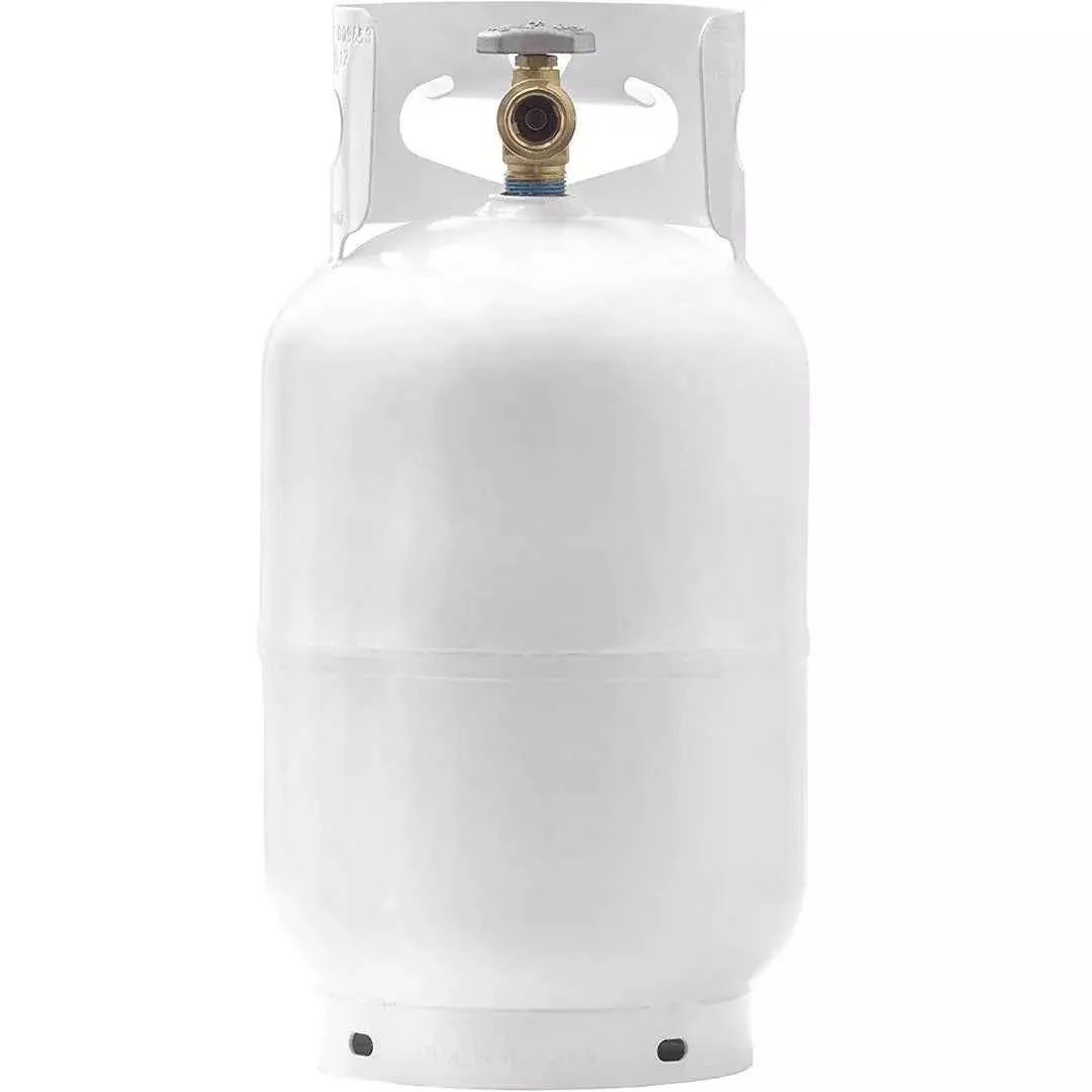 Flame King YSN10LB Propane Tank - 10 lb