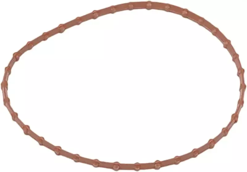 Fuel Pump Door Gasket 08 16 Oe 61402 08