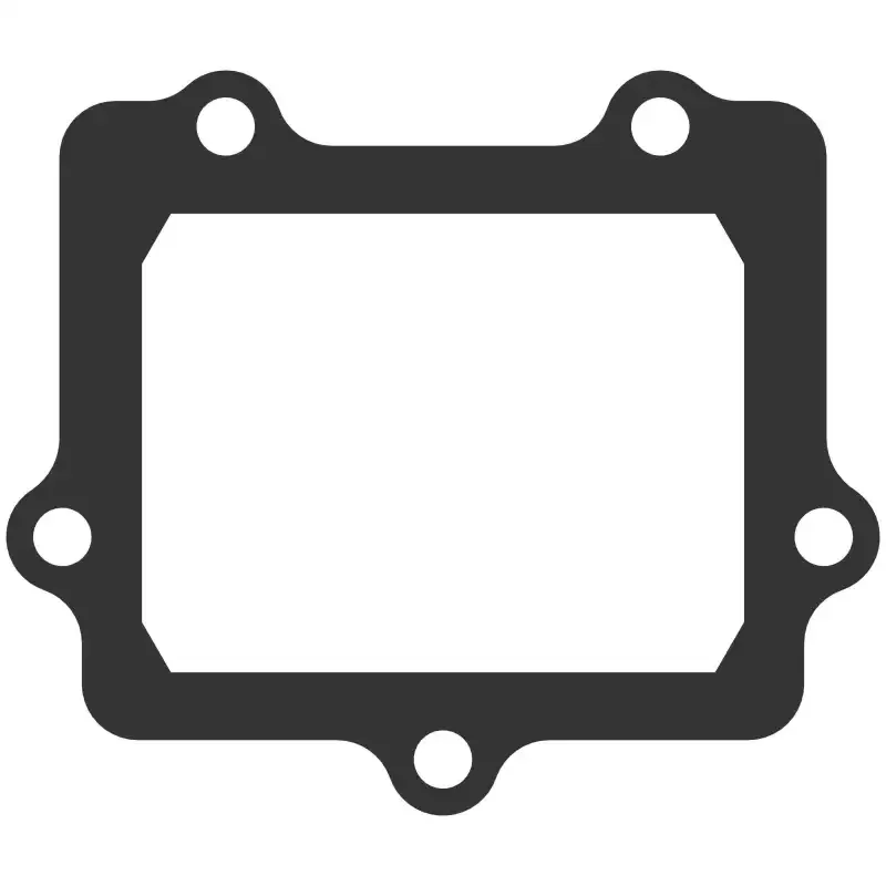G307 Vforce3 Gasket