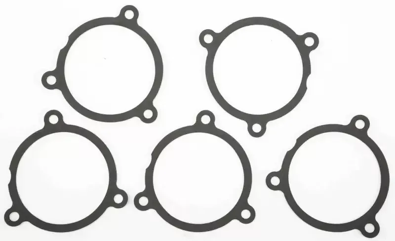 Gasket Air Cleaner 5/Pk