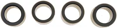 Help! By Dorman 38424 Door Lock Striker Anti-Rattle Kit