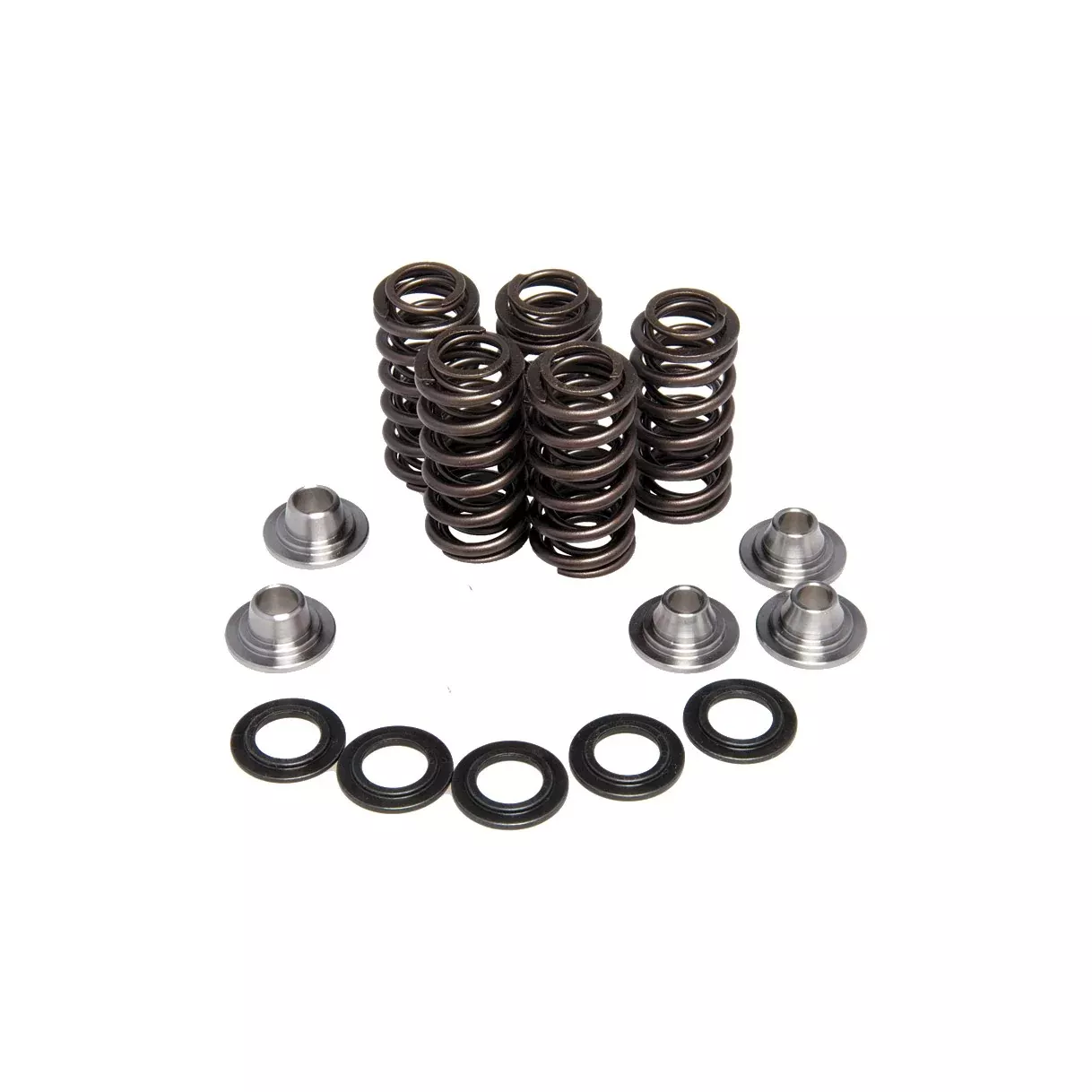 KPMI RACING VALVE SPRING KIT - 191-28004