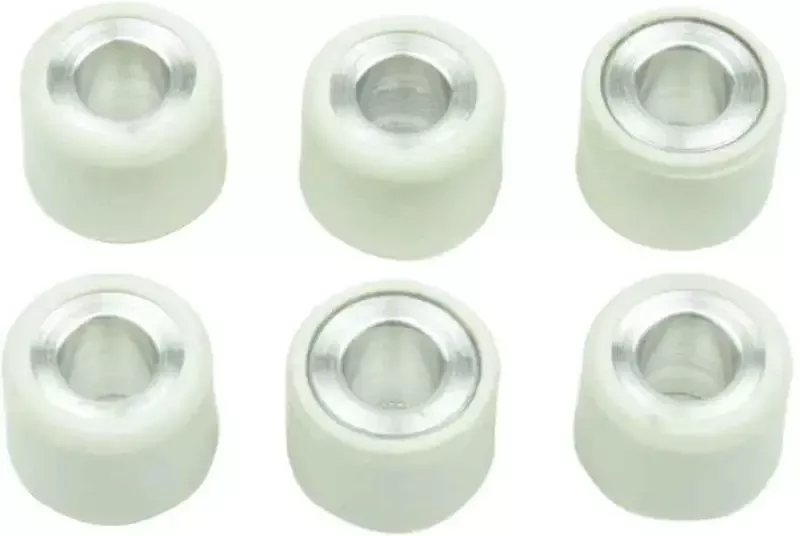 S41000030P017 Clutch Roller Kit 6 Roller 16×13 5 Gr