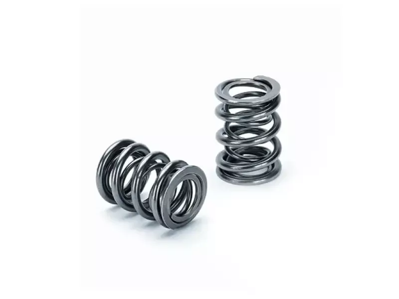 Supertech Toyota 4AGE 16V Dual Valve Spring – Set of 16