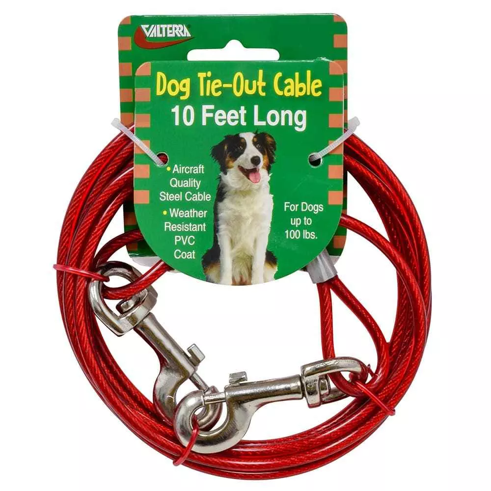 TIE-OUT CABLE 10FT