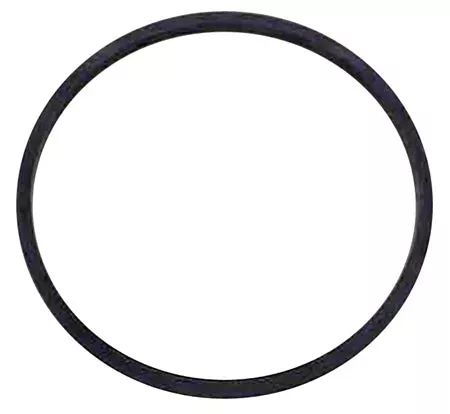 WaterPur | O Ring | OR-A4125 | For CCI-10-CLW Canister