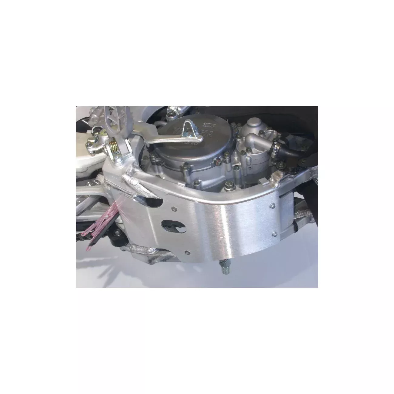 WORKS SKID PLATE - 66-10220