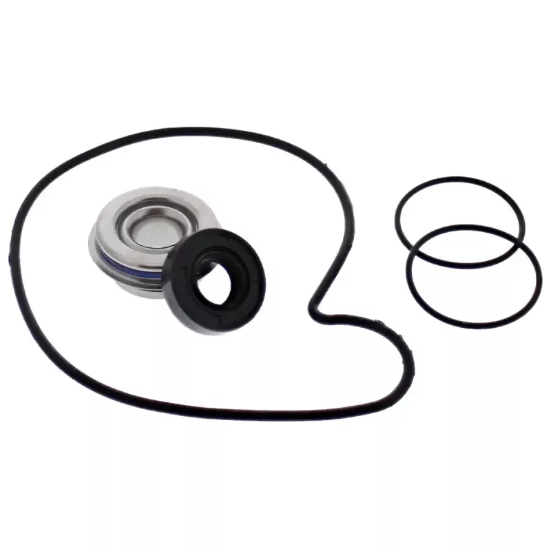 WPK0070 Water Pump Kit Pol