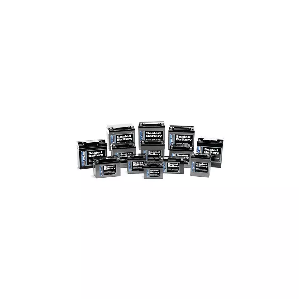 WPS USE 49-1211 BATTERY MAIN T FREE CTX30L-BS/ YIX30L-BS - 49-1210